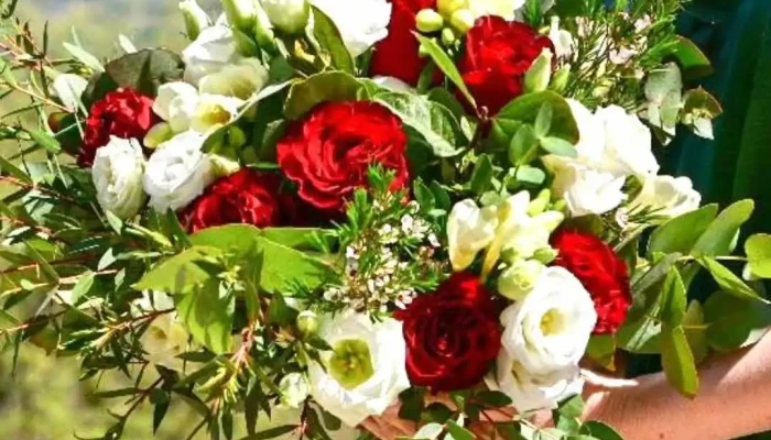 Laurence Fleurs - Aiguillon