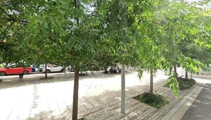 Laurence Fleurs -  Street View Et 360deg - Aiguillon