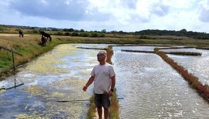 Le comptoir du sel - Mornac-Sur-Seudre