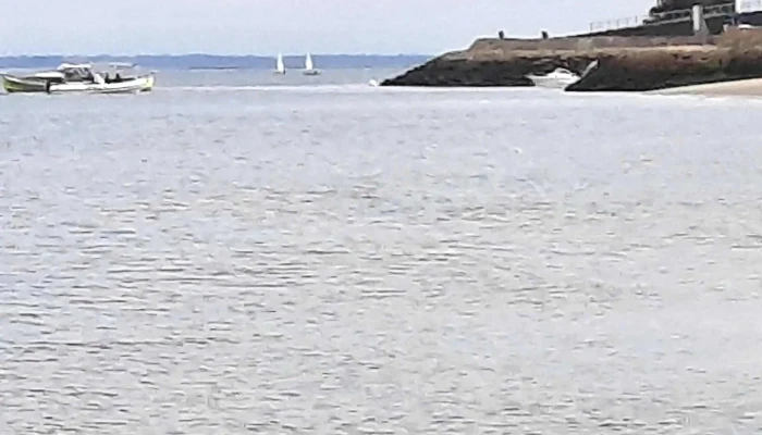 Le Cours Des Halles -  Adresse - Arcachon