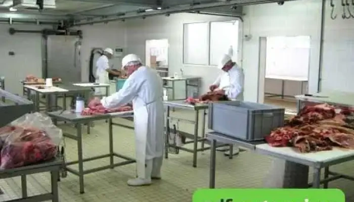 Le Magasin Fermier Des Sicaudieres Nourriture - Bressuire