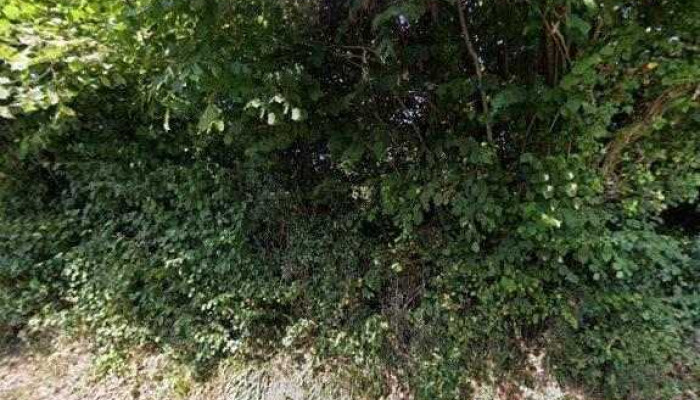 Le Tablier Basque -  Street View Et 360deg - Bidart