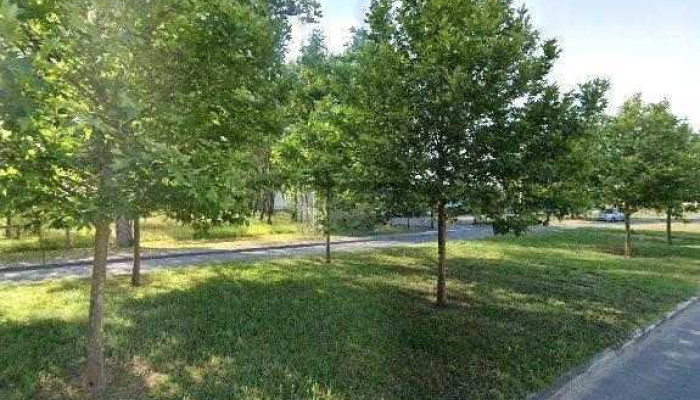 Le Temps Des Saisons -  Street View Et 360deg - Coutras