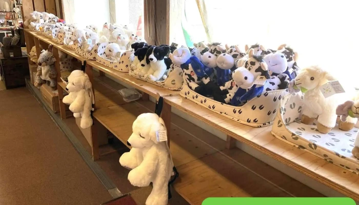 Les Boutiques Dossau Photos Du Proprietaire - Bielle