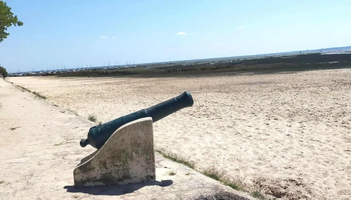 Les Canons Dares Videos - Arès