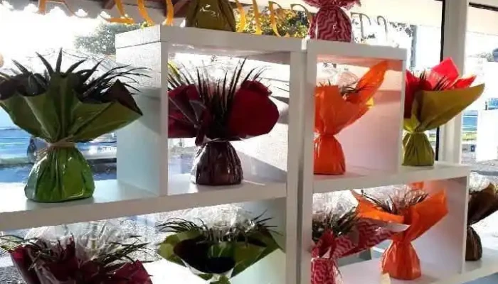 Les Chocolats Dandernos Tout - Andernos-les-bains