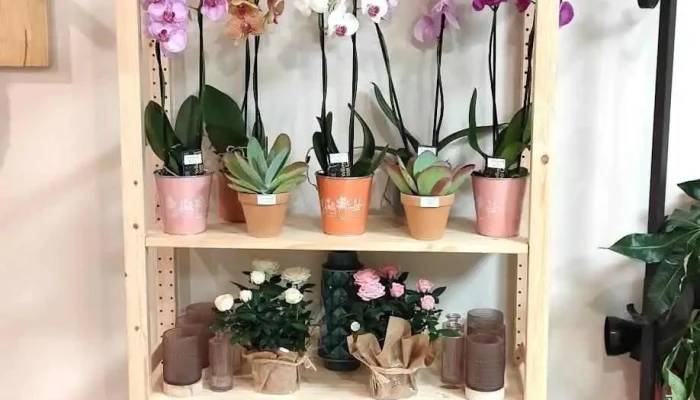 Les Fleurs De Marine -  Interieur - Castelnau-de-médoc