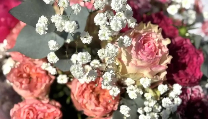 Les Fleurs De Marine -  Les Plus Recentes - Castelnau-de-médoc