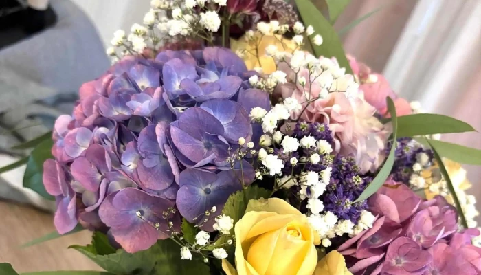 Les Fleurs De Marine -  Ou - Castelnau-de-médoc