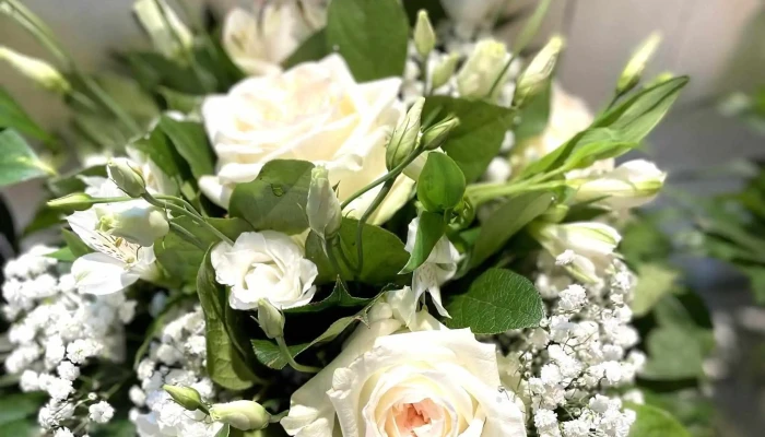Les Fleurs Disis By Renald Horaire - Breuillet