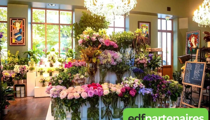 Les Fleurs Disis By Renald Photos Du Proprietaire - Breuillet