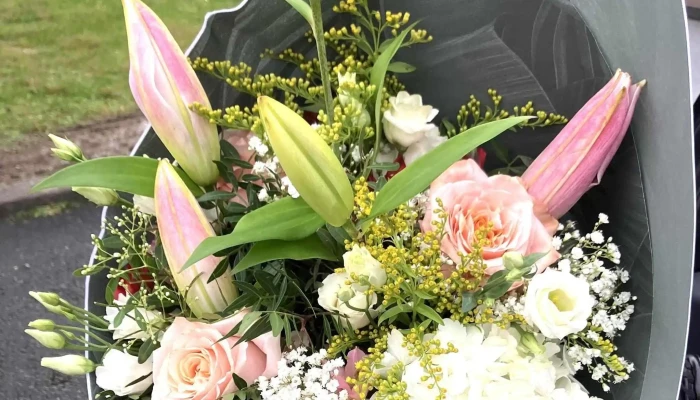 Les Fleurs Disis By Renald Pres De Moi - Breuillet