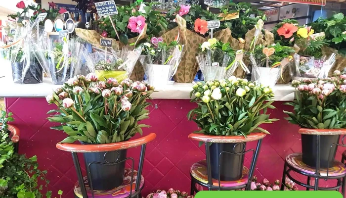 Les Fleurs Du Marche Jardin - Andernos-les-bains