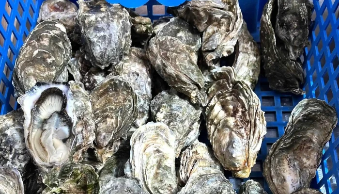 Les Halles Darcachon Par Marketbox Opinions - Arcachon