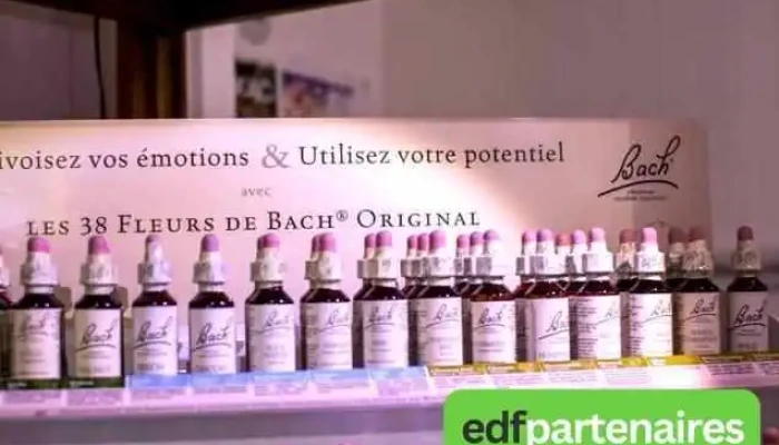 Les Plantes Sauvages -  Interieur - Coutras