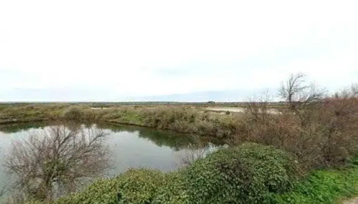 Les Salicorniers -  Street View Et 360deg - Ars-en-ré