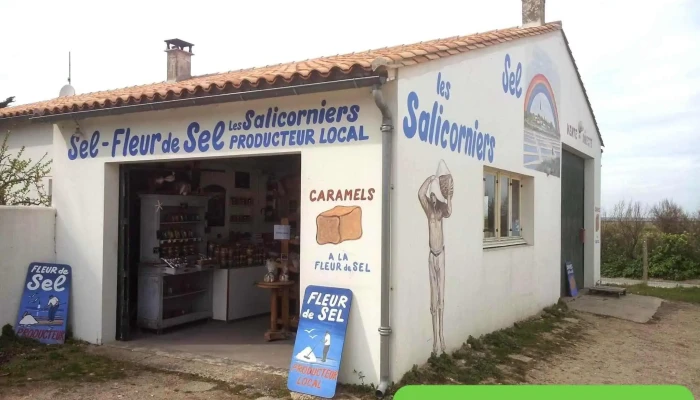 Les Salicorniers -  Tout - Ars-en-ré