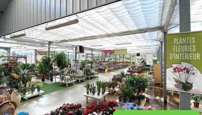 Les Serres Dangresse   Jardinerie Interieur - Angresse