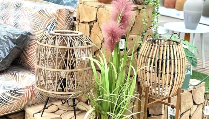 Les Serres Dangresse   Jardinerie Jardin - Angresse