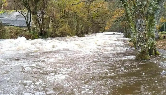 Les Truites De La Vezere Photos Du Proprietaire - Bugeat