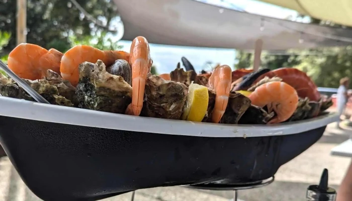 Les Viviers Charentais -    Fruits De Mer Emplacement - Saint-palais-sur-mer