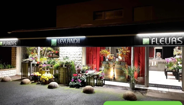 Leylandii - 33850 Léognan