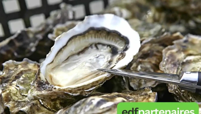 Lhuitriere De Re   Degustation De Fruits De Mer   Boutique Distributeur 2424 Plats Et Boissons - Ars-en-ré