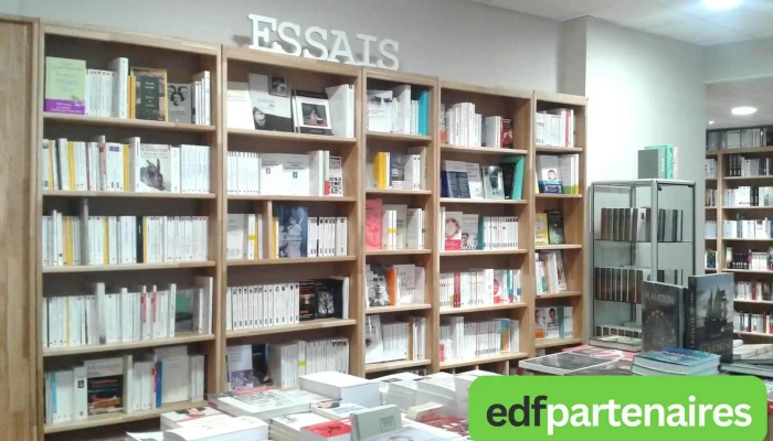 Librairie La Baignoire Darchimede Tout - Brive-la-gaillarde