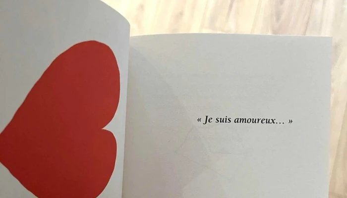 Librairie Peiro-caillaud - Saintes
