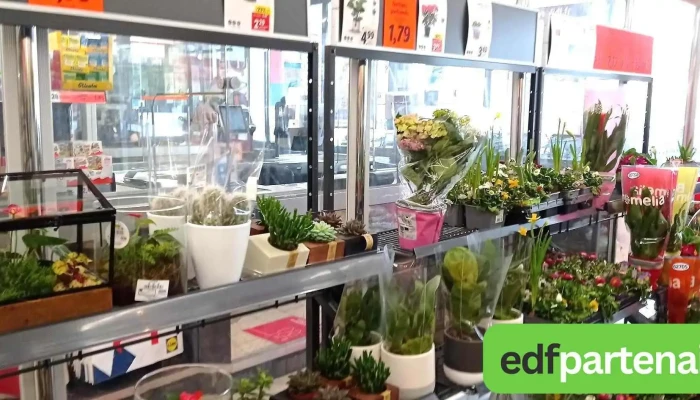 Lidl -  Interieur - Aiffres
