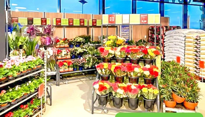 Lidl -  Interieur - Andilly
