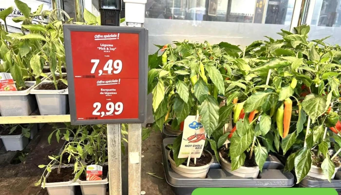Lidl -  Les Plus Recentes - Arveyres