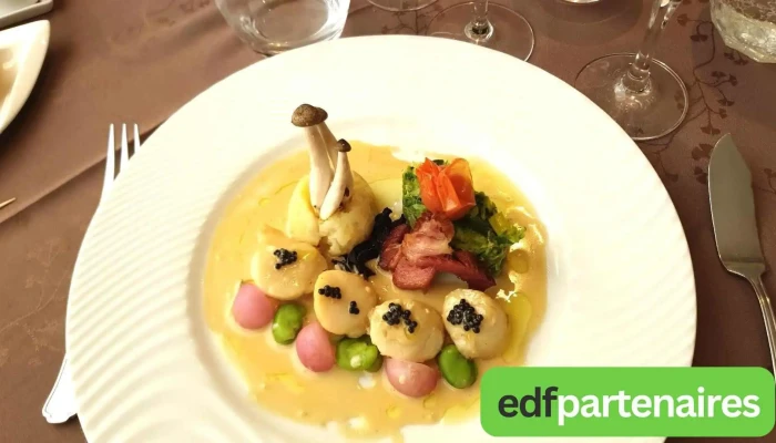 Logis Hotel Le Lion Dor Plats Et Boissons - Chauvigny