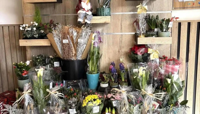 Magasin U Express -  Interieur - Allassac