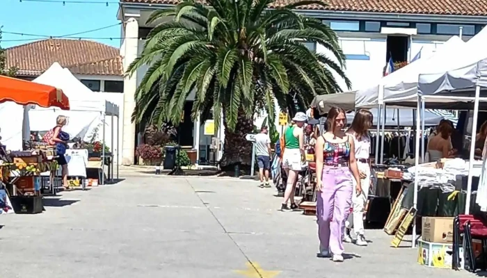 Marché de Dolus - 17550 Dolus-D'Oléron