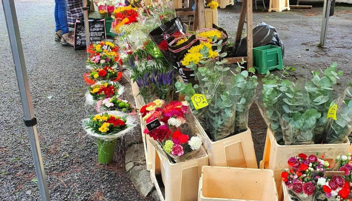 Marché de Léognan - 33850 Léognan