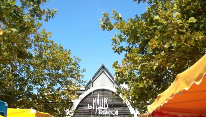 Marches Darcachon Instagram - Arcachon