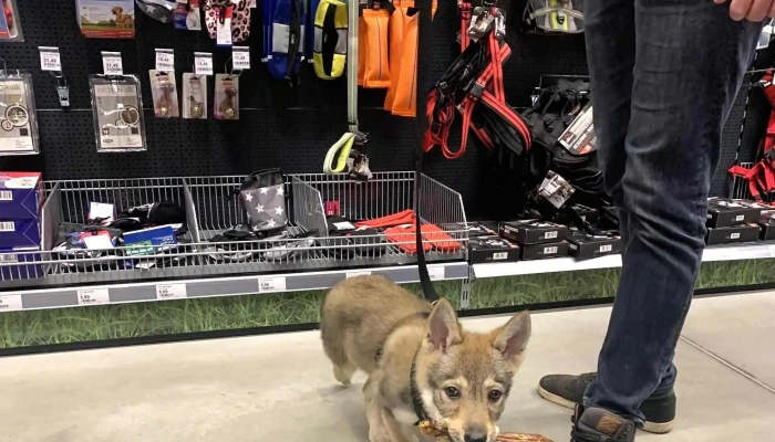 Maxi Zoo Brive -  La Gaillarde Ouvert Maintenant - Brive-la-gaillarde