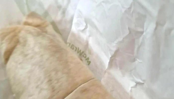 Mcdonalds Videos - Aixe-sur-vienne