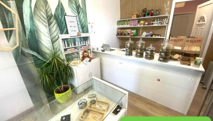 Médoc Alternative - Cbd Shop - Gaillan-en-Médoc - 33340 Gaillan-En-Médoc