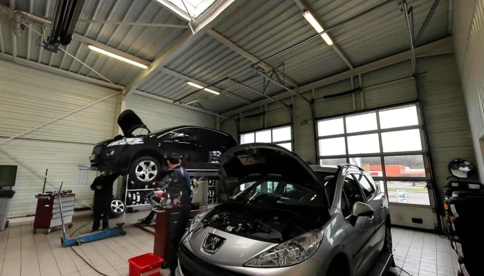 Mgr Griffe Automobiles Peugeot -    Citroen Street View Et 360deg - Chauvigny