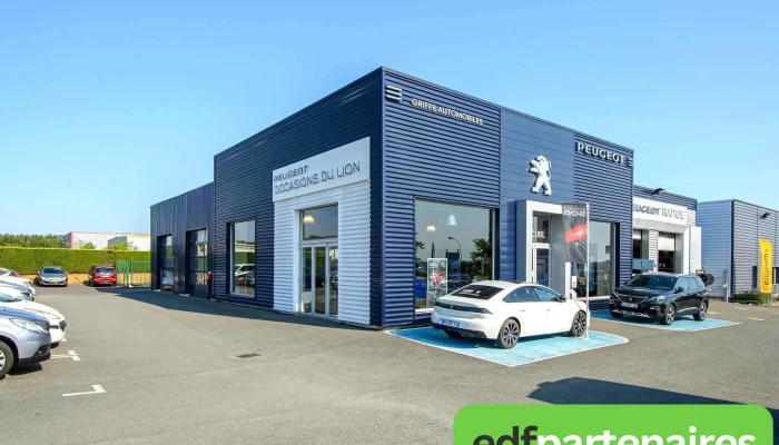 Mgr Griffe Automobiles Peugeot -    Citroen Tout - Chauvigny