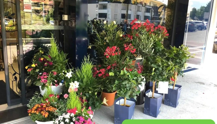 Monceau Fleurs - 33185 Le Haillan