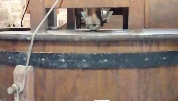Moulin De Bassilour Boulangerie Patisserie Videos - Bidart