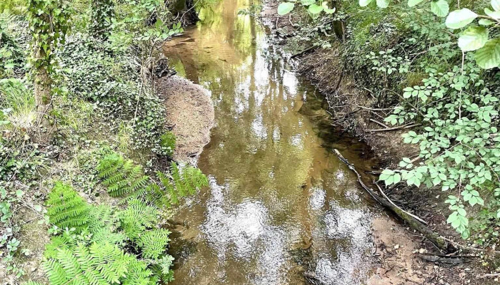 Moulin de Reguignon - 33860 Val-De-Livenne