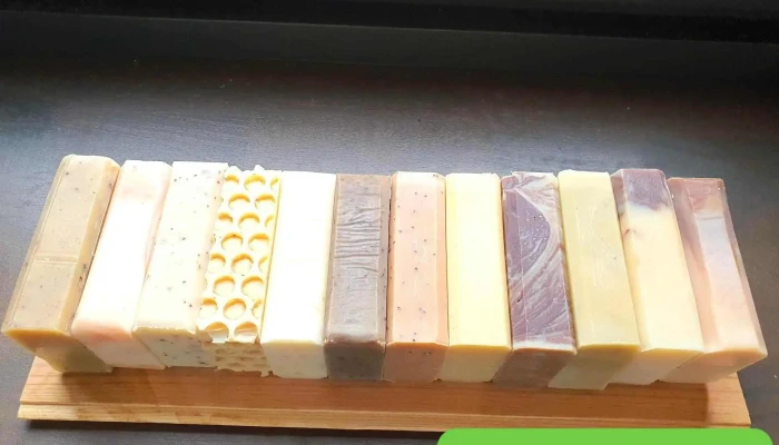 Mousse De La Foret -  Interieur - Nay
