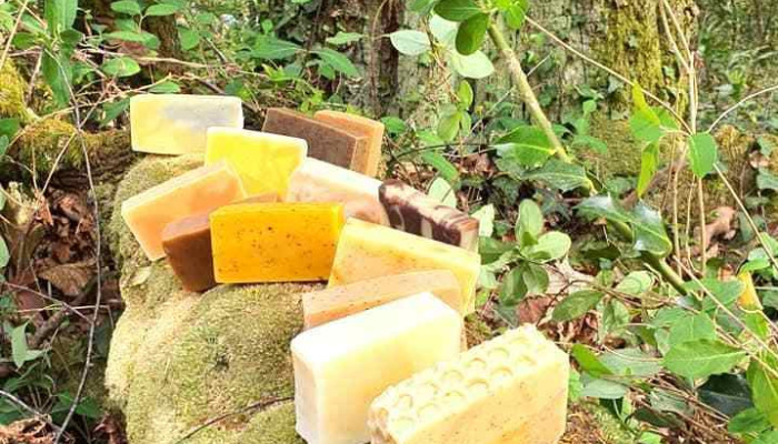Mousse De La Foret -  Photos Du Proprietaire - Nay