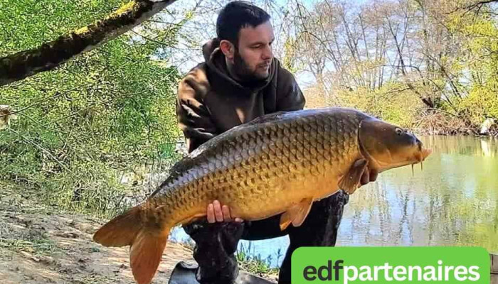 Nature Et Peche Aigrinoise -  Tout - Aigre