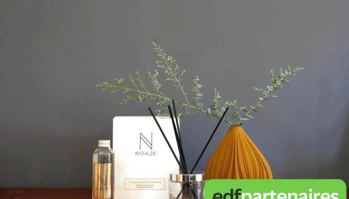 Noaje -  Photos Du Proprietaire - Asnières-sur-nouère