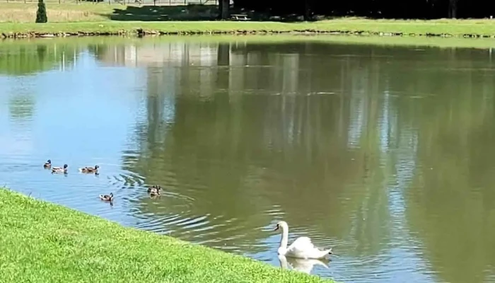 Office De Tourisme Terres De Correze   Pompadour Videos - Arnac-pompadour